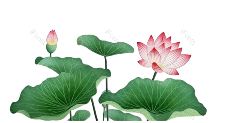 叶子图片,装饰元素,端午PNG,节日免抠素材